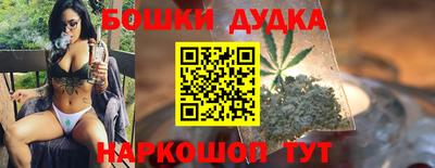 сатива Кандалакша