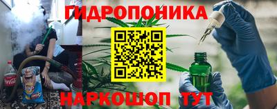 каннабис Камышлов