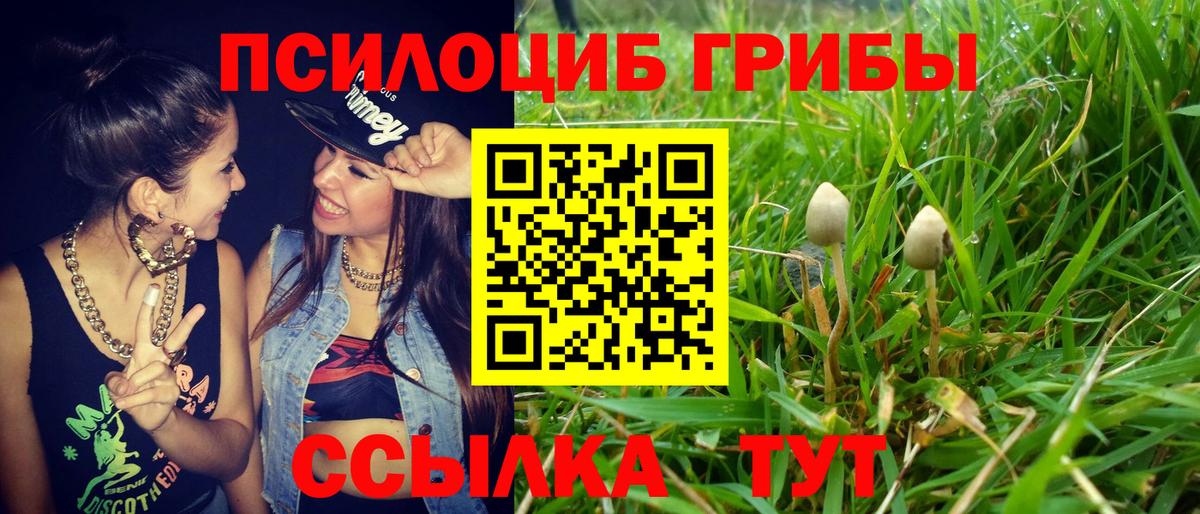 Псилоцибиновые грибы Psilocybe Лабытнанги