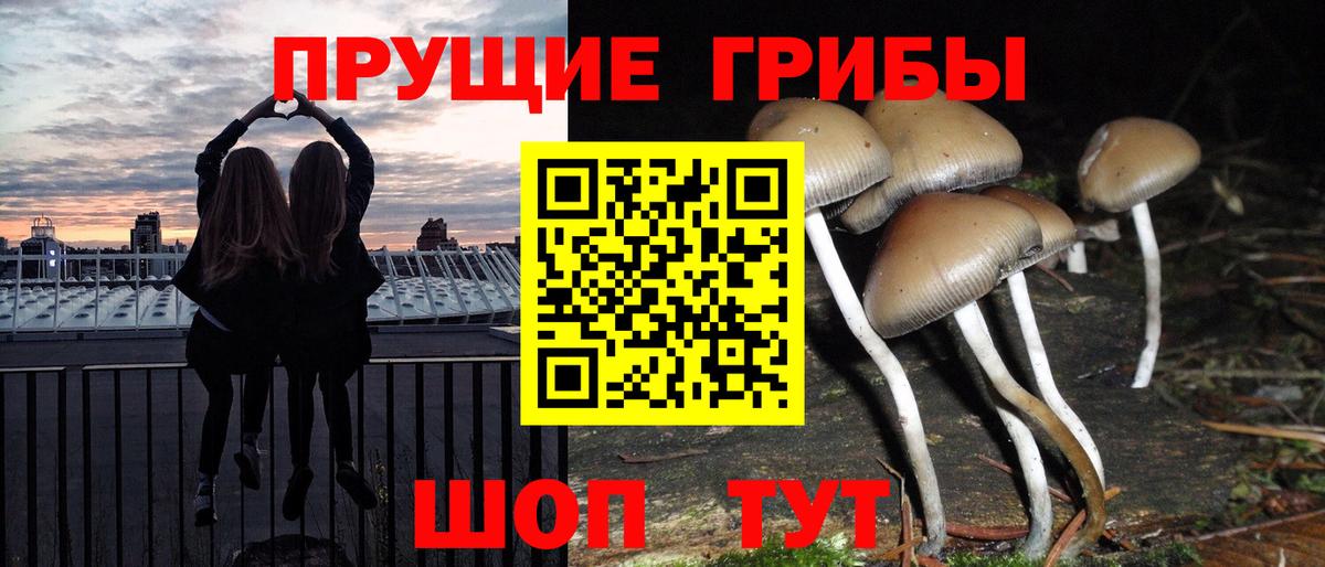 Лабытнанги  Галлюциногенные грибы GOLDEN TEACHER  Вход с VPN 